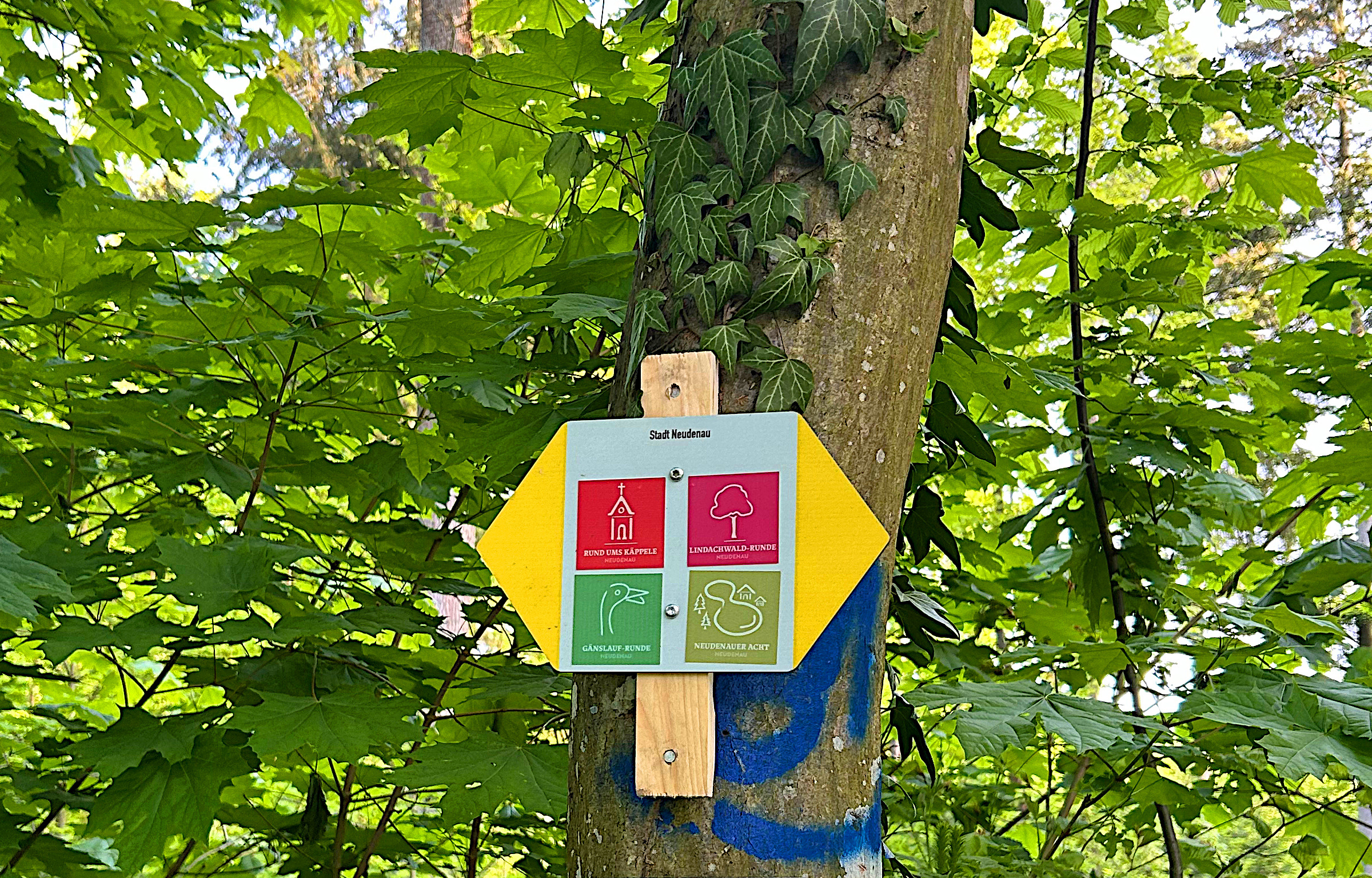 Feste Beschilderung Gänslauf Herbolzheim (10 km Lauf) Feste Beschilderung Gänslauf Herbolzheim (10 km Lauf)