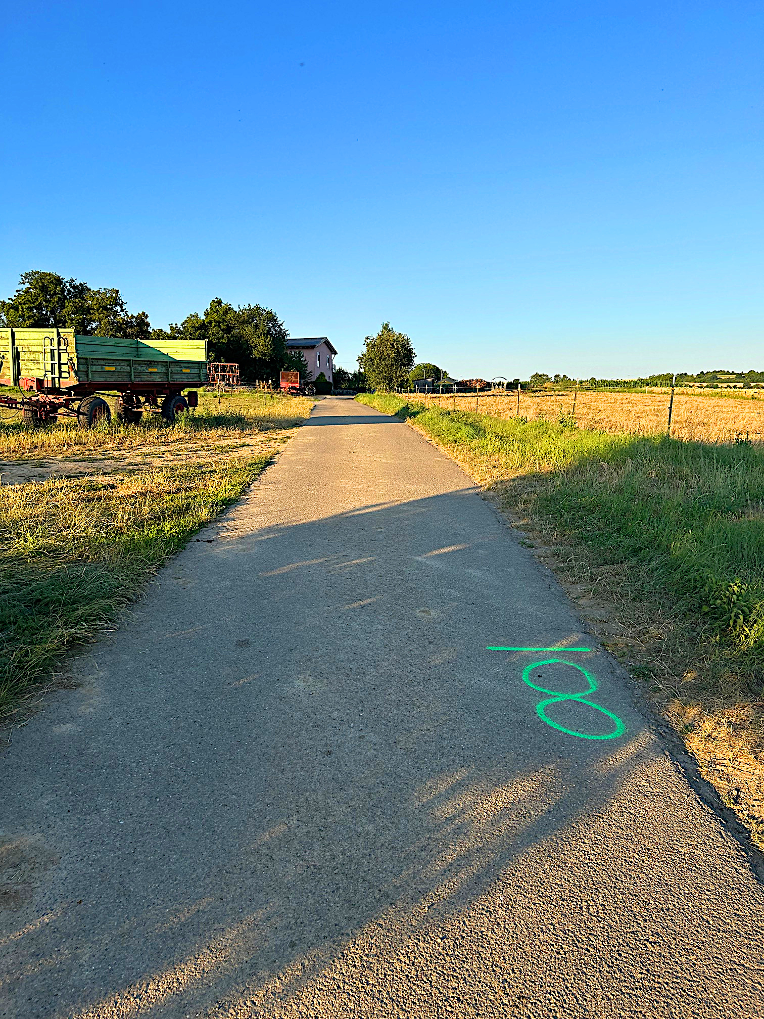 Gänslauf bei km 8 Gänslauf bei km 8