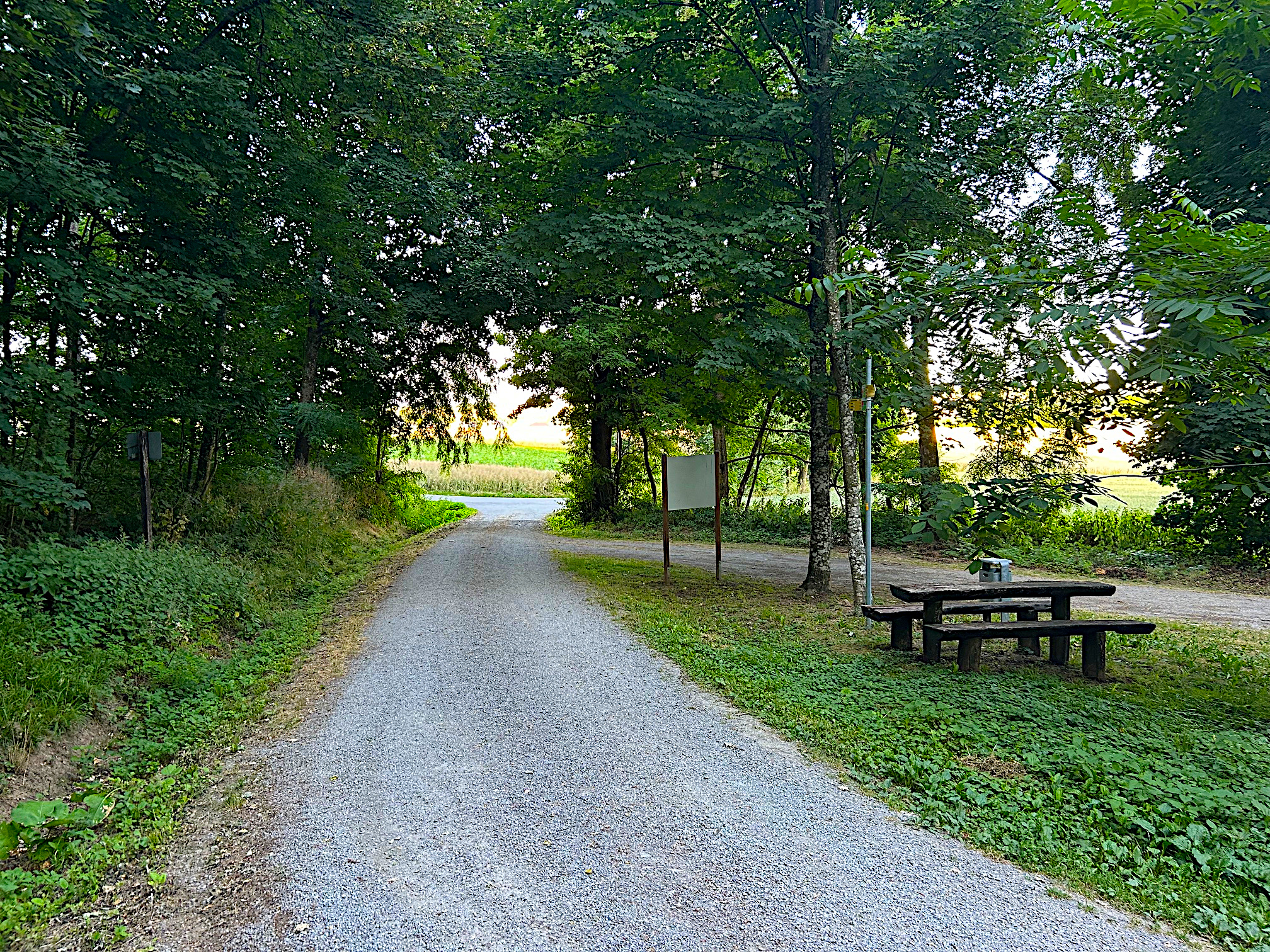 Gänslauf Waldausgang bei ca. km 7,5 Gänslauf Waldausgang bei ca. km 7,5