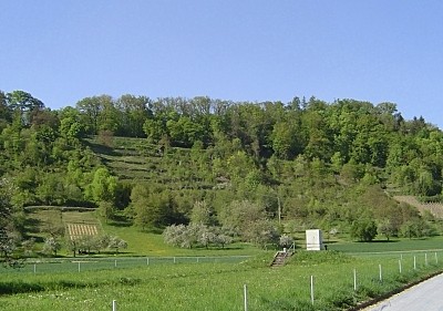 Blick auf den Anstieg, von unten bei km 2