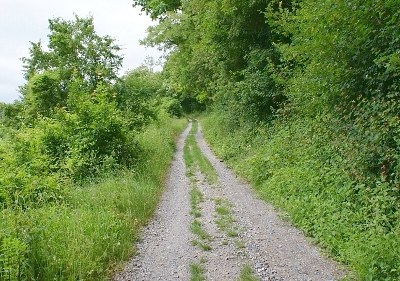 Der Anstieg, im Volksmund Gänslaufbuckel, verläuft zwischen km 3,5 und 4