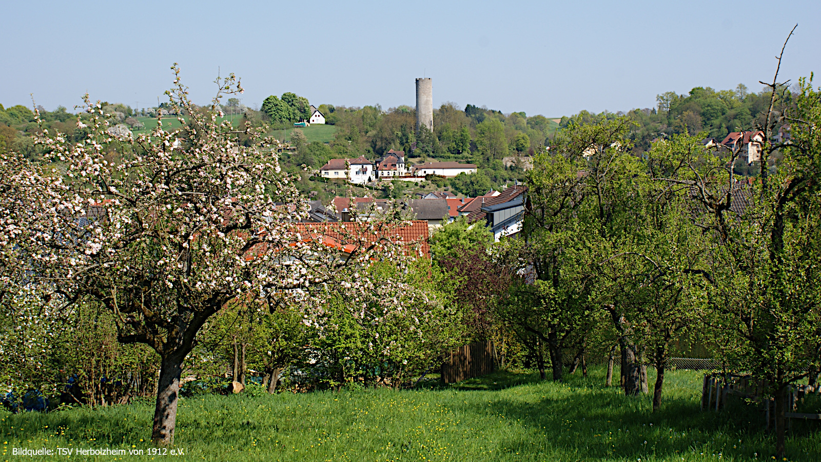 Impressionen aus Herbolzheim